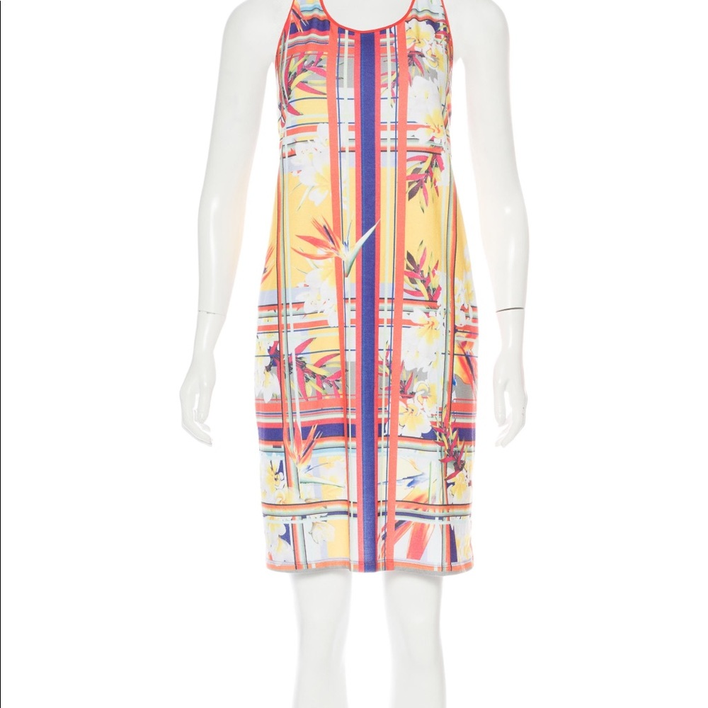 Clover Canyon tank dress